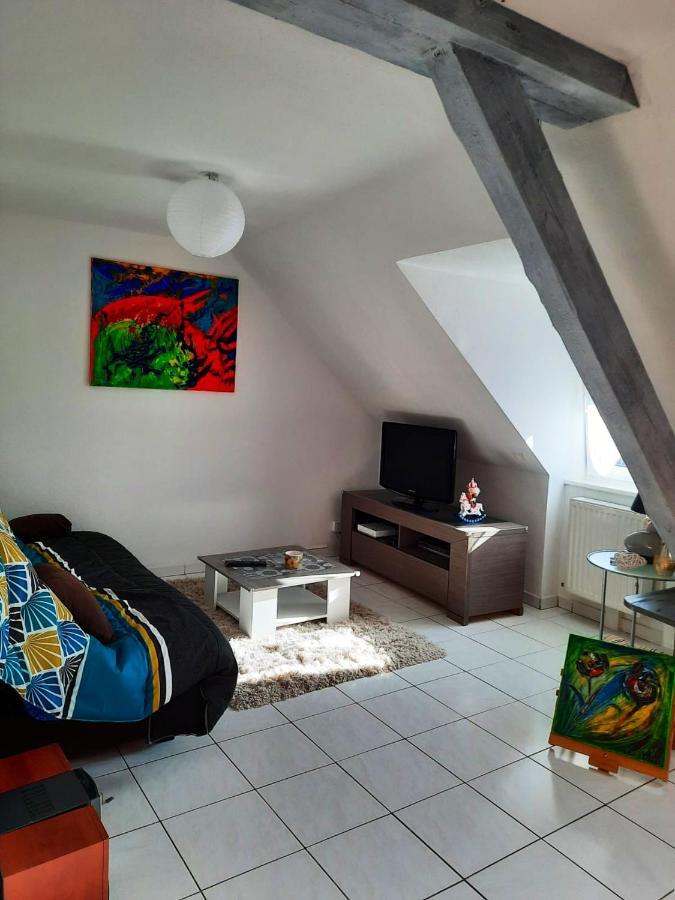 Appartement Spacieux A Ingersheim Avec Vue Sur Jardin 100 M² Exterior photo